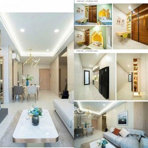 căn hộ chung cư , nhà phố thương mại shophouse