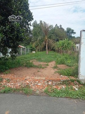 bán đất mặt tiền đường cây da củ chi 500m2 - giá 490triệu - (ngang 10x50) - còn thương lượng