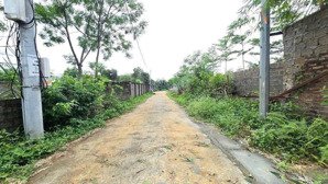 đầu tư sinh lời lô đất 916m² vuông như bánh chưng tại đồng âm, phú mãn, quốc oai