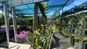 bán đất nghỉ dưỡng vị trí đẹp trung tâm tp. thủ dầu một đường hồ văn cống