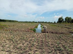 đất tại đường tỉnh lộ 865, xã hưng thạnh, tân phước, tiền giang giá tốt bán gấp