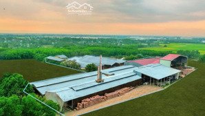 bán nhà xửơng 29.000 m² ngay khu công nghiệp pháp lý sạch giá chỉ 130usd/m2
