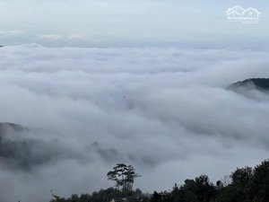 bán nhà riêng tại xã trạm hành, đà lạt, lâm đồng, 6,2 tỷ, 341 m2