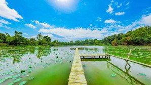 chính chủ bán đất hồ sen linh sơn 109m2 - gần khu cnc hoà lạc - sổ đỏ sẵn sàng