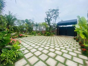 nhà 1 tầng phong cách nhật bản không gian mở giữa thiên nhiên
mái dốc nhẹ, khung gỗ ấm áp, mản