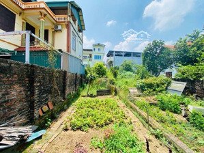 bán đất tại xã nam hồng, đông anh, hà nội, 4,6 tỷ, 64 m2 - hot!