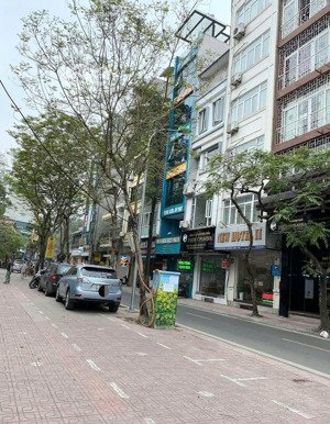 bán nhà mặt phố ba đình - 3 thoáng 2 mặt tiền kinh doanh - 1 mặt phố - 1 mặt ngõ ô tô tránh