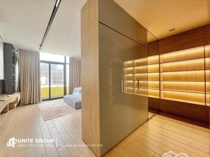 căn hộ 1pn ban công rộng 50m2 giá 9tr3 gần lotte mart, phú mỹ hưng, sc vivo city