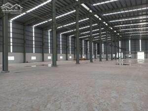 Cho Thuê Xưởng 9,800m2 KCN Phú Mỹ 1, Tx Phú Mỹ,BRVT