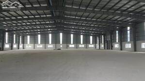Cho Thuê Kho Xưởng Kcn Phú Mỹ - Brvt. Cho Thuê Xưởng 10.000m2 đến 50.000m2 Giá Rẻ