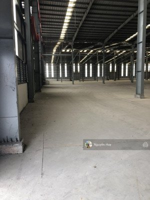 cho thuê kho, nhà xưởng xã long cang, cần đước, long an dt 2000m2 đường xe cont lh 