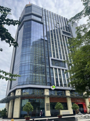 bán tòa nhà mặt tiền trần hưng đạo, p. côl - 8,4x24m - hầm + 8 tầng - hđt 370tr/th - giá 110 tỷ