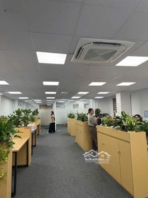 toà nhà lô góc 70m-7 tầng thang máy + hầm - mặt phố quang trung - văn phú - kinh doanh sầm uất