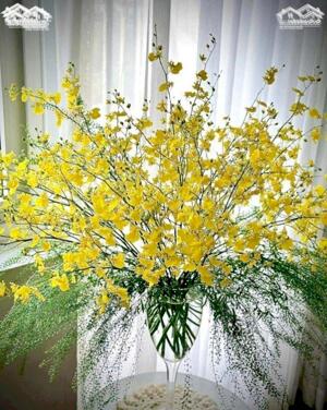 LH : 0936298578 : Ninh Bình : 6000..7000..1ha ..2ha ..10 ha