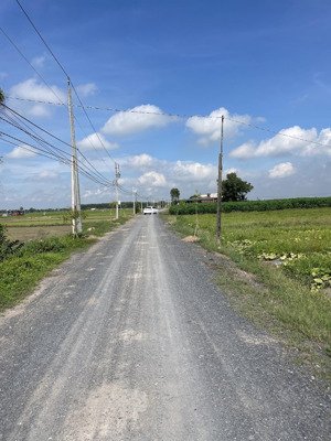 bán đất thổ cư tại xã long khánh, giá 250 triệu, 198m2, dt: 5x40m, giá ưu đãi