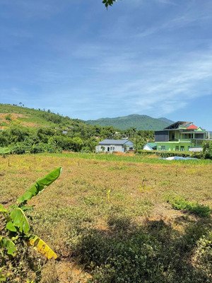 bán 3300m/400m thổ bám trục chính liên xã phú mãn - đông xuân - thích hợp phân lô, đầu tư..