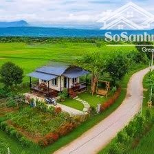 bán trang trại, khu nghỉ dưỡng view đẹp, thị trấn tân khai, hớn quản, bình phước, 2,38 tỷ, 4200 m2