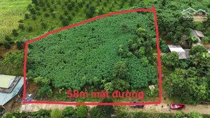 chủ gửi bán 2900m2 phẳng, đẹp nằm trong khu vực như cao nguyên mộc châu