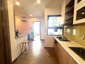 chính chủ cần bán căn 1 phòng ngủ sky oassis ecopark view siêu thoáng 