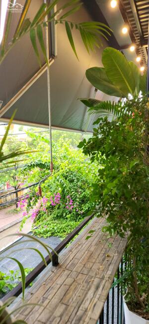 Đất nền KQH đấu giá xã Phú Vang bên cạnh trường cấp 3 Vinh Hà