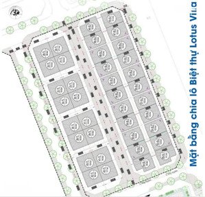 cần bán biệt thự liên kề 135m mặt đường 25m lên cầu tứ liên