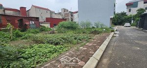 bán gấp đất tại khu đấu giá xã đại áng, thanh trì, hà nội, 6,7 tỷ, 50,1 m2 giá cực chất uy tín