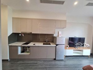 chính chủ bán căn studio r1.028a15, 29m², giá chỉ 2,39 tỷ sổ đỏ sẵn