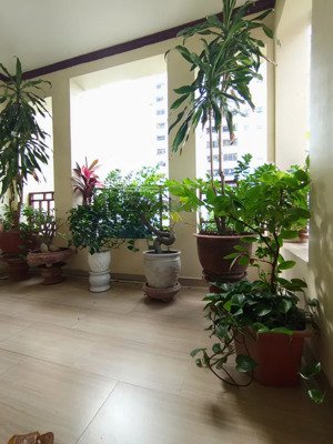 nhà đường võng thị, view hồ tây, dt: 60m2, 5t,kd sầm uất, thuê ở, đẳng cấp thượng lưu. lotte tây hồ