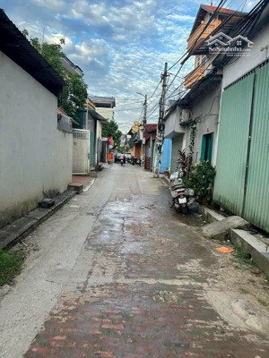 đất hải bối - thành phố thông minh