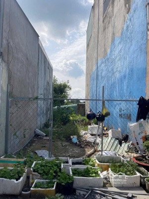 đất rẻ phường tân đông hiệp tphcm (tp dĩ an củ)đường xe hơi