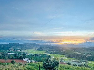 bán trang trại, khu nghỉ dưỡng view tỷ usd tại xã đà loan, đức trọng, lâm đồng, 23000m2