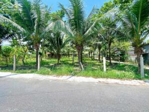 Cần bán 3 lô đất mặt tiền đường nhựa Diên Phước