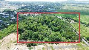 bán đất đồi có rừng cây gổ quý lâu năm, tại thành phố bà rịa, phù hợp làm khu sinh thái, dt: 2ha85