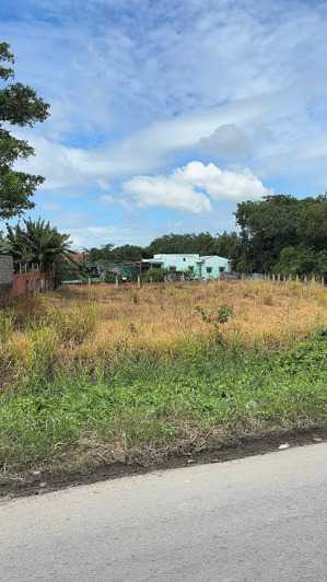 bán nhanh lô đất ngay cầu cần giuộc, tân kim, long an, 140m2/650tr .sổ riêng 2025, full thổ cư 100%