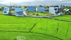 bán đất diên toàn view lúa đường thông oto 4m