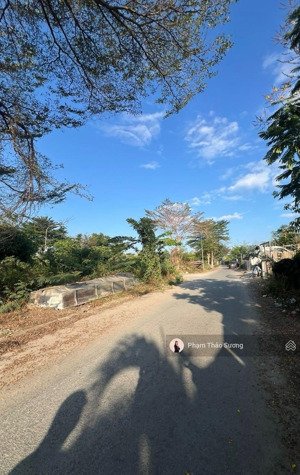 bán nhanh nền đất 449m2 khu thời báo kinh tế - bưng ông thoàn, phú hữu, quận 9 - chỉ 39 triệu/m2