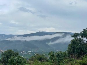 đất mê linh cách đà lạt 20km view đồi thông bao quanh, nghỉ dưỡng bao chill, giá chỉ 680 triệu