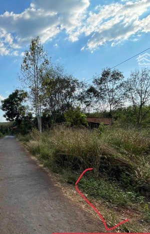 bán đất lộc thạnh, lộc ninh, bình phước, giá chỉ hơn 600tr, lh 