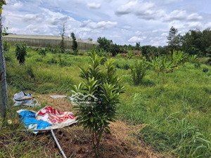 bán đất vườn trái cây tân quan, hớn quản, bình phước, lh 