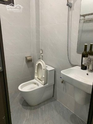 bán nhà dân xây hoa lâm việt hưng.kinh doanh. ô tô tránh, đường thông. 11.5 tỷ