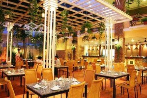 cho thuê mặt bằng kinh doanh phố nguyễn khang, dt 170m2 x 5t, mt 8m, phù hợp mọi mô hình