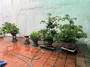 căn hộ cc sky garden ii tại nguyễn văn linh, 12,8 tỷ, 256m2 hàng hiếm giá ưu đãi