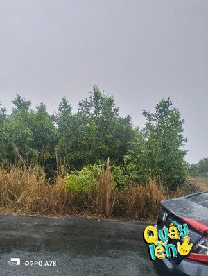 bán đất 24000m2 tại quốc lộ 55, bưng riềng, xuyên mộc, bà rịa vũng tàu, 14,4 tỷ