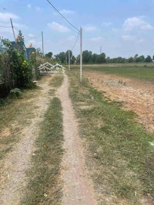 cần bán nền đất thổ cư tặng nhà cấp 4, giá rẻ, nằm tại xã hòa khánh đông 5x28 giá 780 triệu, shr