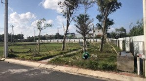 chị hiền bán gấp 85m2 đất phong phú, bình chánh 1 tỷ 251/ shr + gần ql50, bx q8