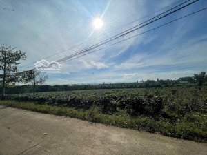 đất sào tân lạc 4591m2 (bảo lâm 2), quy hoạch thổ cư