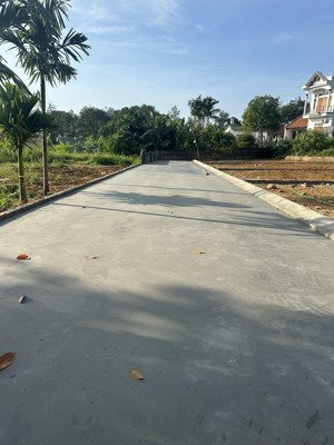 có hàng f0 tại thôn 3 phú cát em đang có mấy lô đất siêu đẹp giá f0, cơ hội đầu tư cực