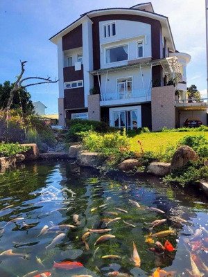 villa lý nam đế gần 1000m2 full thổ hai mặt tiền nhựa sân vườn