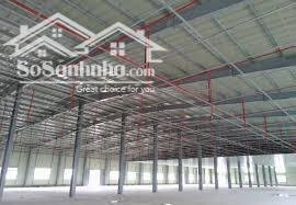 CHO THUÊ NHÀ XƯỞNG PHÚ GIÁO, BÌNH DƯƠNG 15.000M2
