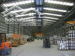 Cho Thuê Nhà Xưởng Phú Giáo Bình Dương 6.500m² – PCCC Vách Tường